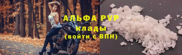 эйфоретик Калининец