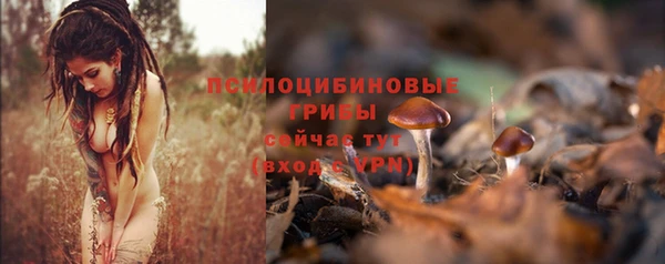 2c-b Навашино