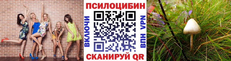 Псилоцибиновые грибы мухоморы Козловка