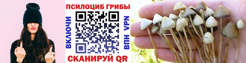 kraken вход  Козловка  Галлюциногенные грибы ЛСД 